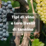 Grappoli d'uva nera e bianca su sfondo verde. Testo: "Tipi di vino e loro livelli di tannino". I tannini sono composti naturali che influenzano il gusto del vino.