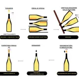 Illustrazione del processo di produzione vino Metodo Classico: dal vino base all'imbottigliamento, presa di spuma, remuage, degorgiatura e confezionamento.