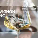 Guida al Sauvignon Blanc: scopri le sue caratteristiche, storia, gusti e regioni.
