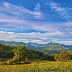 Valli della Staffora sotto un cielo azzurro con nuvole bianche. Colline verdi e alberi in primo piano.