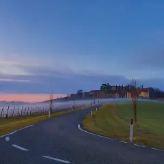 Strada serpeggiante verso un borgo collinare all'alba, con nebbia e un campo di oliva gessi.