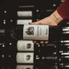 Mano che tiene una bottiglia di vino rosso "Alfero Montecucco Rosso". Il Cabernet Sauvignon, di cui questa regione è originaria, è un vitigno internazionale.