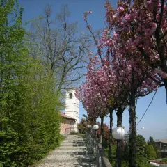 Stradella fiorita con ciliegi rosa, un campanile bianco e una scalinata di ciottoli. Un luogo incantevole da vedere.