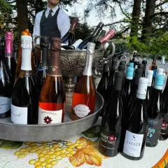 Bottiglie di vino, tra cui Pinot Nero, pronte per essere servite in un evento all'aperto.