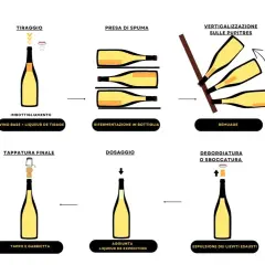 Illustrazione del processo di produzione vino Metodo Classico: dal vino base all'imbottigliamento, presa di spuma, remuage, degorgiatura e confezionamento.