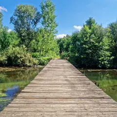 Un pontile in legno conduce verso un bosco lussureggiante, ideale per scoprire cosa vedere vicino a Vigevano.