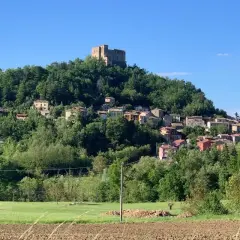 Borgo medievale arroccato su una collina verde, con un castello in cima. Ecco cosa vedere a Zavattarello, un gioiello incastonato tra gli alberi.