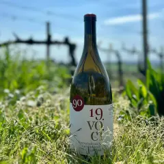 Bottiglia di vino bianco in un campo d'erba, con vigneti sfocati sullo sfondo. L'etichetta recita "Incrocio Bruni".