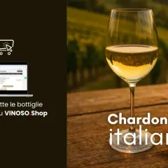 Calice di Chardonnay italiano, con bottiglia e vigneti sullo sfondo. Scopri le caratteristiche di questo vino.