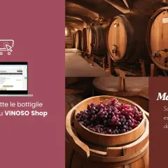 Vini in botte e uva rossa in un tino, con testo su macerazione carbonica e acquisto online su VINOSO Shop.