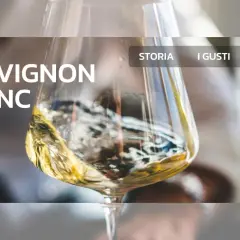 Guida al Sauvignon Blanc: scopri le sue caratteristiche, storia, gusti e regioni.