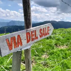 Cartello in legno "Via del Sale Varzi" su un sentiero montano verdeggiante, con cielo nuvoloso e montagne sullo sfondo.