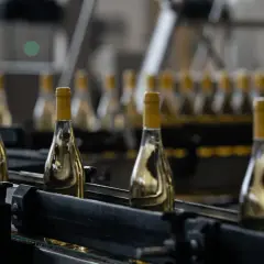 Bottiglie di vino bianco imbottigliato all'origine su un nastro trasportatore in una cantina.