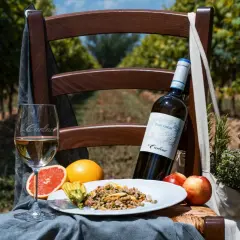 Un bicchiere e una bottiglia di Pinot Grigio, con le sue fresche caratteristiche, accompagnano un piatto di cereali e frutta in un vigneto.