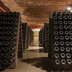 Cantine con bottiglie di vino scuro disposte in rastrelliere, pronte per il remuage.