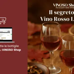 Il segreto del vino rosso leggero: acquista le bottiglie consigliate su VINOSO Shop. Due calici di vino rosato e un piatto di pasta.