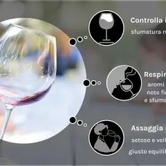 Il bicchiere mostra il pinot nero colore rubino traslucido, invitando a respirarne l'aroma e assaggiarne il sapore.