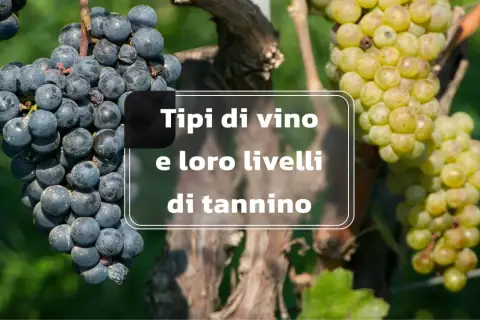 Grappoli d'uva nera e bianca su sfondo verde. Testo: "Tipi di vino e loro livelli di tannino". I tannini sono composti naturali che influenzano il gusto del vino.