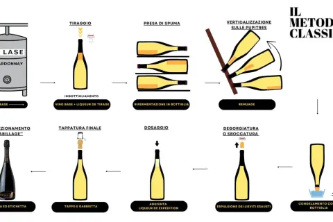 Illustrazione del processo di produzione vino Metodo Classico: dal vino base all'imbottigliamento, presa di spuma, remuage, degorgiatura e confezionamento.