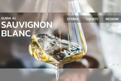 Guida al Sauvignon Blanc: scopri le sue caratteristiche, storia, gusti e regioni.