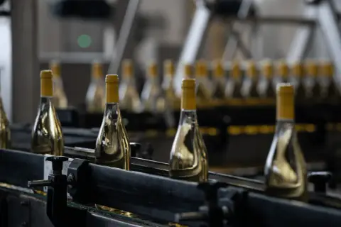 Bottiglie di vino bianco imbottigliato all'origine su un nastro trasportatore in una cantina.