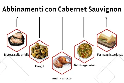 Abbinamenti con Cabernet Sauvignon: bistecca, funghi, anatra arrosto, piatti vegetariani e formaggi stagionati.