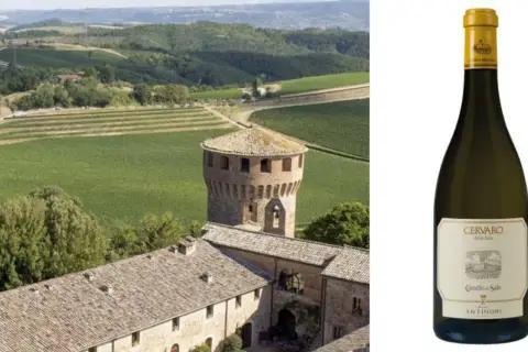 Paesaggio toscano con vigneti e torre medievale, accanto a una bottiglia di Cervaro della Sala, il migliore vino bianco.