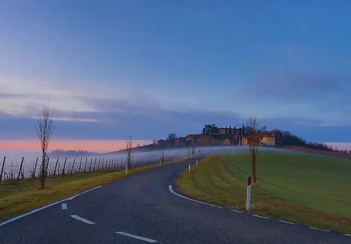 Strada serpeggiante verso un borgo collinare all'alba, con nebbia e un campo di oliva gessi.
