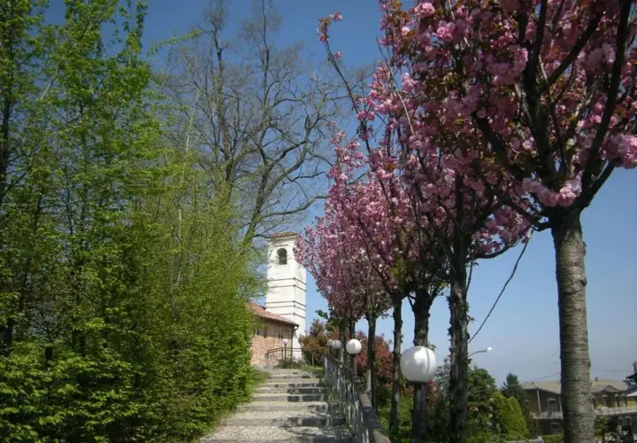 Stradella fiorita con ciliegi rosa, un campanile bianco e una scalinata di ciottoli. Un luogo incantevole da vedere.