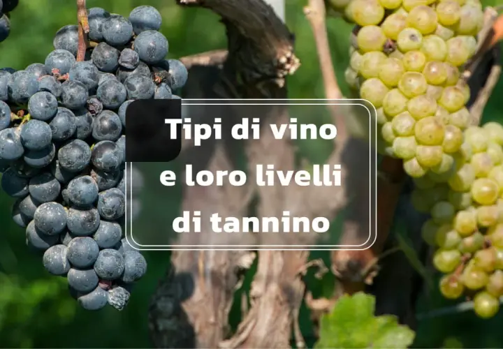 Grappoli d'uva nera e bianca su sfondo verde. Testo: "Tipi di vino e loro livelli di tannino". I tannini sono composti naturali che influenzano il gusto del vino.