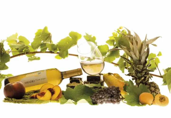 Un bicchiere di Pinot Grigio, fermo o frizzante, accanto a frutta fresca e grappoli d'uva.