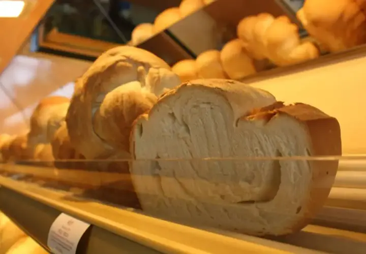 Pane a treccia, un miccone pavia, soffice e dorato, pronto per essere gustato.