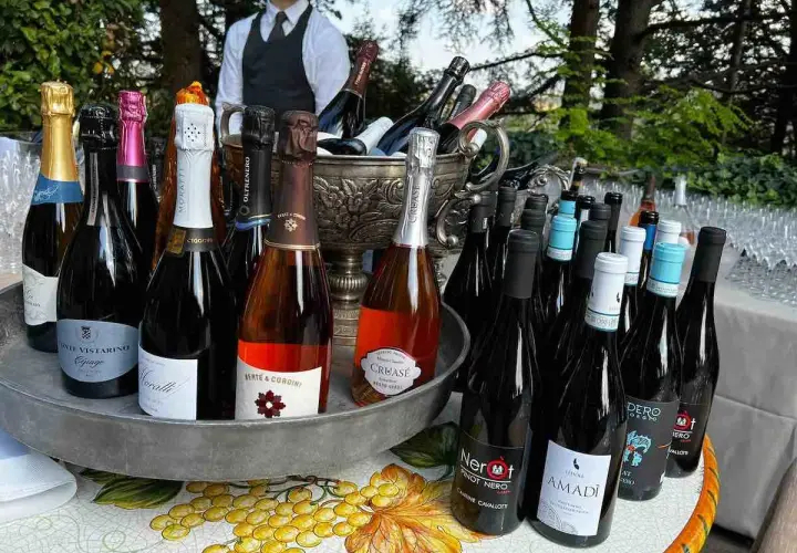 Bottiglie di vino, tra cui Pinot Nero, pronte per essere servite in un evento all'aperto.