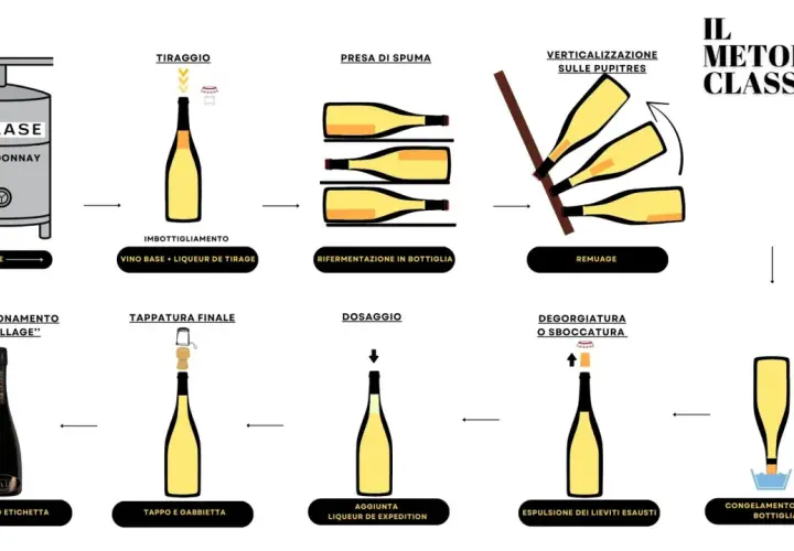 Illustrazione del processo di produzione vino Metodo Classico: dal vino base all'imbottigliamento, presa di spuma, remuage, degorgiatura e confezionamento.