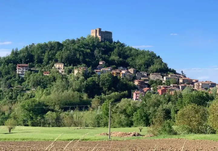 Borgo medievale arroccato su una collina verde, con un castello in cima. Ecco cosa vedere a Zavattarello, un gioiello incastonato tra gli alberi.