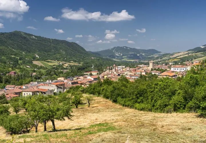 Panoramica del borgo del monte antico Varzi, con case dai tetti rossi incastonate tra colline verdi e alberi rigogliosi sotto un cielo azzurro.