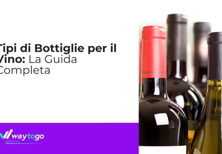 Una guida completa ai tipi di bottiglie per il vino, con immagini di diverse bottiglie.