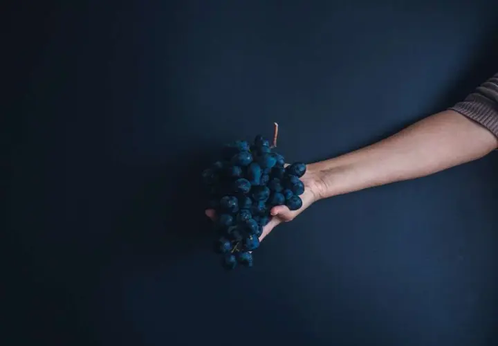 Mano che offre un grappolo di uva scura, un'immagine che evoca la Madonna dell'uva.