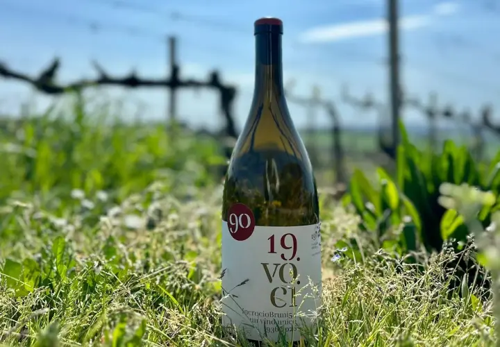 Bottiglia di vino bianco in un campo d'erba, con vigneti sfocati sullo sfondo. L'etichetta recita "Incrocio Bruni".