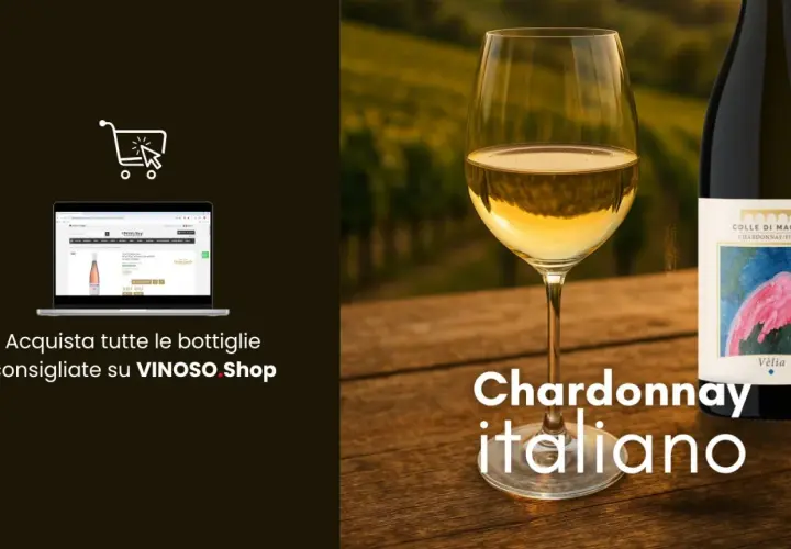 Calice di Chardonnay italiano, con bottiglia e vigneti sullo sfondo. Scopri le caratteristiche di questo vino.