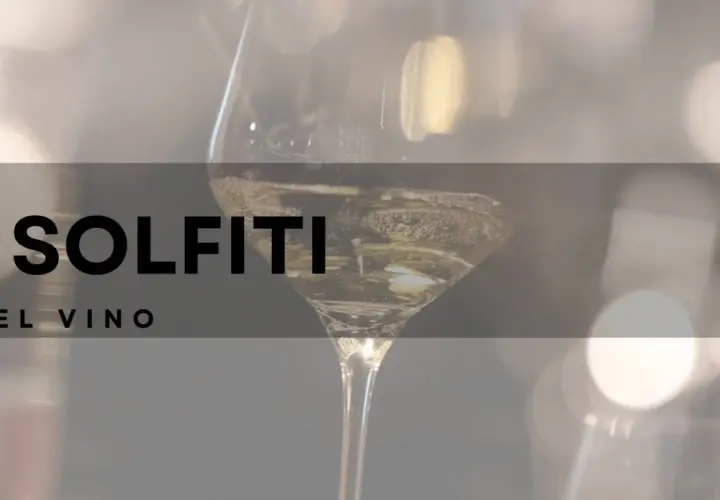 I solfiti nel vino: cosa sono e perché sono importanti per la conservazione. Un calice di vino bianco con bollicine.