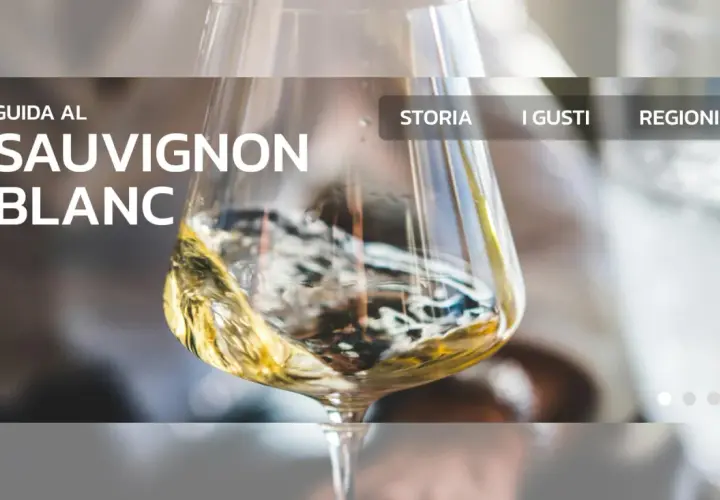Guida al Sauvignon Blanc: scopri le sue caratteristiche, storia, gusti e regioni.