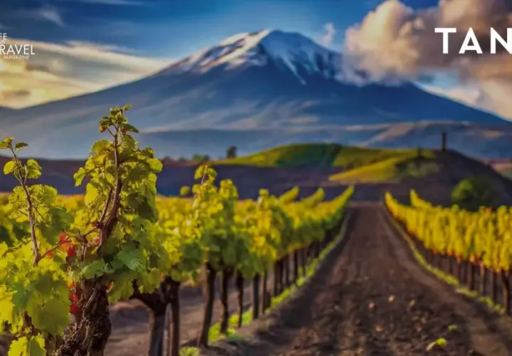 Vigneti rigogliosi ai piedi dell'Etna, un paesaggio iconico per i vini Sicilia. Tannico.