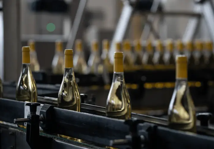 Bottiglie di vino bianco imbottigliato all'origine su un nastro trasportatore in una cantina.