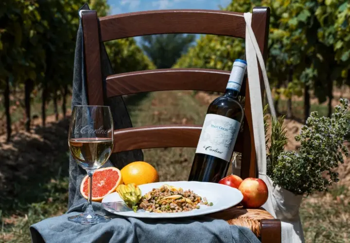Un bicchiere e una bottiglia di Pinot Grigio, con le sue fresche caratteristiche, accompagnano un piatto di cereali e frutta in un vigneto.