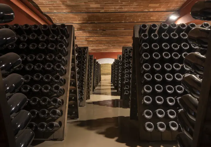 Cantine con bottiglie di vino scuro disposte in rastrelliere, pronte per il remuage.