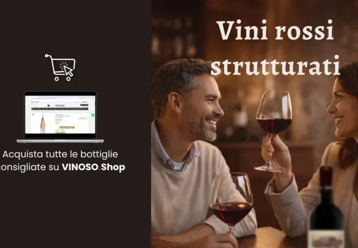 Coppia felice degusta vini rossi strutturati. Acquista bottiglie consigliate su VINOSO Shop.