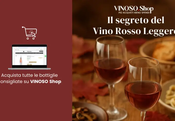 Il segreto del vino rosso leggero: acquista le bottiglie consigliate su VINOSO Shop. Due calici di vino rosato e un piatto di pasta.