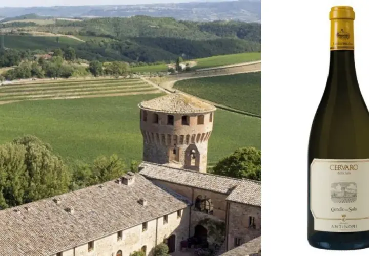 Paesaggio toscano con vigneti e torre medievale, accanto a una bottiglia di Cervaro della Sala, il migliore vino bianco.