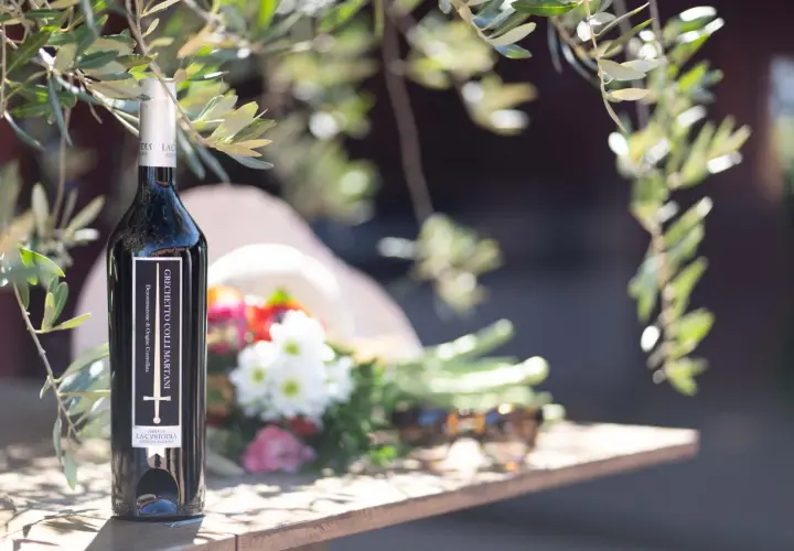 Bottiglia di vino Grechetto Colli Martani, con fiori e occhiali da sole su un tavolo di legno, sotto i rami di un ulivo.